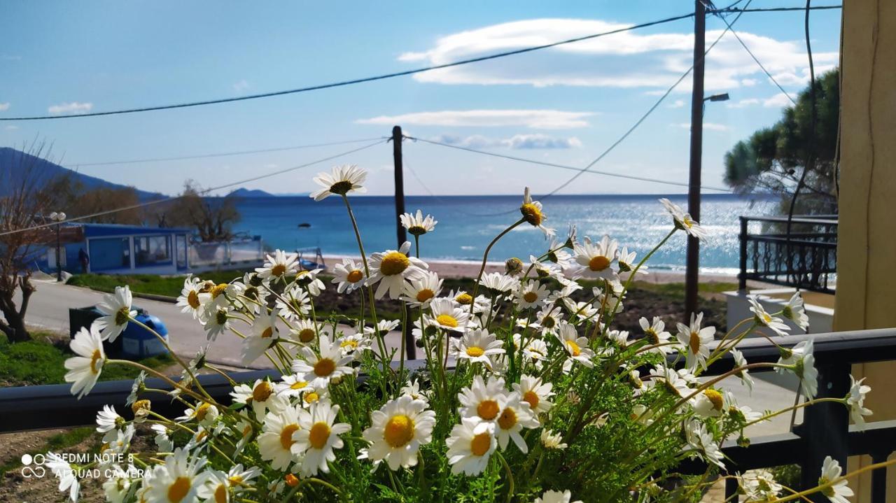 Kampos MarathokampouSocrates Sea Viewアパートメント エクステリア 写真